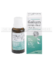 GALIUM COMP.-Heel ad us.vet.Tropfen