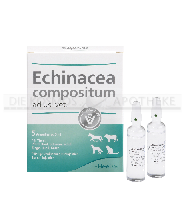 ECHINACEA COMPOSITUM ad us.vet.Ampullen
